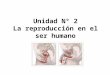 Unidad N° 2 La reproducción en el ser humano. Reproducción sexual La reproducción sexual se produce por la fusión de dos células especiales haploides,