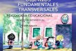 OBJETIVOS FUNDAMENTALES TRANSVERSALES PSICOLOGIA EDUCACIONAL PEDAGOGIA MATEMATICAS PEDAGOGIA MATEMATICASYCOMPUTACION