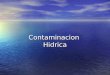 Contaminacion Hidrica. Contaminacion hidrica Origen Origen Causas Causas Consecuancias en la salud Consecuancias en la salud Soluciones Soluciones