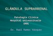 GLÁNDULA SUPRARRENAL Patología Clínica Hospital Universitario UANL Dr. Raúl Ramos Vázquez