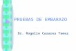 PRUEBAS DE EMBARAZO Dr. Rogelio Cazares Tamez