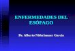 ENFERMEDADES DEL ESÓFAGO Dr. Alberto Niderhauser García