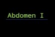 Abdomen I. Proyecciones Anatomía abdomen Radiografía abdomen