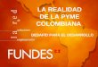 LA REALIDAD DE LA PYME COLOMBIANA DESAFÍO PARA EL DESARROLLO