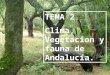 TEMA 2 Clima, Vegetacion y fauna de Andalucía.. Introducción. En este tema trataremos diversos aspectos relacionados con el medio natural de Andalucía