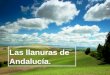 Las llanuras de Andalucía.. Recordemos cuáles eran las principales unidades de relieve de Andalucía: EL RELIEVE DE ANDALUCÍA. ZONAS LLANAS ZONAS MONTAÑOSAS