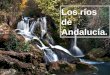 Los ríos de Andalucía.. El Guadalquivir y sus afluentes. El Guadalquivir es el río más importante de Andalucía