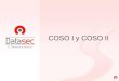 COSO I y COSO II. COSO ICOSO II MEYCOR COSO AG - Solución integral