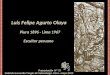 Luis Felipe Agurto Olaya Piura 1896 - Lima 1967 Escultor peruano Presentación Nº 75 Gabriela Lavarello Vargas de Velaochaga- Perú - mayo 2013