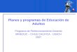 Planes y programas de Educación de Adultos Programa de Perfeccionamiento Docente MINEDUC – CHILE CALIFICA - USACH 2007