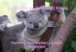 La Rutina de Pedro- El Koala Nombres: Olivia Barbieri y Eveline Reddington