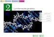 INICIOESQUEMARECURSOSINTERNET SALIRANTERIOR La información genética LECTURA INICIAL ESQUEMA RECURSOS INTERNET