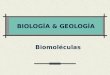 BIOLOGÍA & GEOLOGÍA Biomoléculas. Carbohidratos Proteínas Ácidos Nucleicos Lípidos