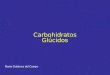 Carbohidratos Glúcidos Marta Gutiérrez del Campo