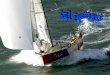 ¿Qué es Sail Experience? Sail Experience es un proyecto que pretende combinar distintas temporadas de regatas de larga distancia. Mediante un equipo de