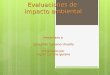 Evaluaciones de impacto ambiental Presentado a Sebastián Galeano Urueña Presentado por Ingrid Corinne gerena