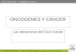CICLO CELULAR – Oncogenes y cáncer © PROFESOR JANO – Prof. Víctor M. Vitoria – Estrategias de trabajo y aprendizaje ONCOGENES Y CÁNCER Las alteraciones