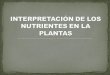 Introducción Relación entre la concentración de nutrientes en planta y la producción. Relaciones entre dos nutrientes. Relación entre varios nutrientes: