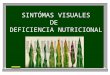 SINTÓMAS VISUALES DE DEFICIENCIA NUTRICIONAL. Índice 1. Diagnóstico visual de las plantas. 2. Los nutrientes en las plantas. Criterios de esencialidad