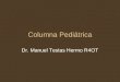 Columna Pediátrica Dr. Manuel Testas Hermo R4OT. Morfogénesis Mesenquima (Mesodermo, Tubo neuronal, somites) Cartílago (cuerpo, transversas (2), laminas
