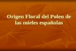 Origen Floral del Polen de las mieles españolas. 1.Determinación del origen Floral de las cargas de polen 1.1. Melisopalinologia: Ciencia que se dedica