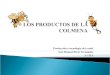 Producción y tecnología de la miel José Manuel Pérez Fernández 3º ITIA