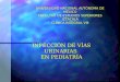 UNIVERSIDAD NACIONAL AUTÓNOMA DE MÉXICO FACULTAD DE ESTUDIOS SUPERIORES IZTACALA CLÍNICA INTEGRAL VIII INFECCIÓN DE VÍAS URINARIAS EN PEDIATRÍA