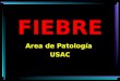 FIEBRE Area de Patología USAC. REGULACION DE LA TEMPERATURA PRODUCCION DE CALOR PERDIDA DE CALOR TEMPERATURA CORPORAL