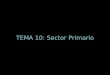 TEMA 10: Sector Primario. Tema 10 SECTOR PRIMARIO 1. CONCEPTO DE SECTOR PRIMARIO Y SU IMPORTANCIA Sector primario: extracción de bienes y recursos del