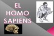 1.- Origen del Homosapiens. 2. Aspectos Morfológicos 2.1 Diferencia con otros primates 2.2 Olfato 2.3 Alimentación 3. Habitad 4. Cultura 4.1 Lenguaje