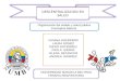 DESCENTRALIZACION EN SALUD Organización del estado y salud publica Conceptos básicos UNIVERSIDAD MANUELA BELTRAN TERAPIA RESPIRATORIA VIVIANA GUERRERO