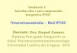 Seminario I: Introducción a una comprensión integrativa PNIE Neurotransmisión – Red PNIE Docente: Dra. Raquel Zamora Diploma Post-grado Integración en
