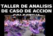 TALLER DE ANALISIS DE CASO DE ACCION COLECTIVA PROBLEMAS RURALES