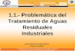 1.1.- Problemática del Tratamiento de Aguas Residuales Industriales José Antonio González Moreno Febrero del 2013