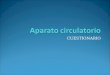 CUESTIONARIO Aparato circulatorio 1) FUNCIONES DEL APARATO CIRCULATORIO _ - 2) DE QUE CONSTA EL APARATO CIRCULATORIO ( 3 R)