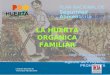 PLAN NACIONAL DE Seguridad Alimentaria Ing. Agr. Graciela Gasparetti Agente de Proyecto PROHUERTA LA HUERTA ORGÁNICA FAMILIAR