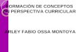 FORMACIÓN DE CONCEPTOS EN PERSPECTIVA CURRICULAR ARLEY FABIO OSSA MONTOYA