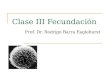 Clase III Fecundación Prof. Dr. Rodrigo Barra Eaglehurst