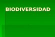 BIODIVERSIDAD. ¿Qué es la Biodiversidad? En la Cumbre de Río de Janeiro (1992) se definió este término agrupando tres componentes: En la Cumbre de Río
