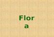 Flora. Fauna Invertebrados Vertebrados-1
