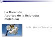 La floración: Aportes de la fisiología molecular MSc. Heidy Chavarría