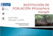 ALIN PEÑA ARIADNA FLORES RESTAURACIÓN DE POBLACIONES Máster Oficial en Restauración de Ecosistemas