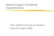 Hemorragia Cerebral Espontánea Dra. Katherine Escoe Bastos Neurocirugía-HSJD