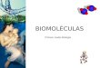 BIOMOLÉCULAS Primero medio Biología. Características de las Biomoléculas Junto con el agua y las sales minerales son compuestos fundamentales de la materia