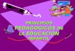 PRINCIPIOS PEDAGOGICOS DE LA EDUCACION INFANTIL. EL PRINCIPIO DE INTERACCION DEL NIÑO CON EL MEDIO