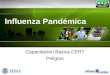 Influenza Pandémica Capacitación Básica CERT Peligros
