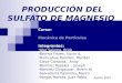 Agosto 2007 PRODUCCIÓN DEL SULFATO DE MAGNESIO Curso: Mecánica de Partículas Integrantes: Alor Salome, Erick Berrios Flores, Victor A. Huillcahua Ramírez,