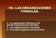 VII.- LAS ORGANIZACIONES FORMALES. 3.- La organización informal en las grandes organizaciones formales. 4.- Las organizaciones voluntarias. 5.- Conceptos