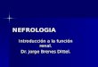 NEFROLOGIA Introducción a la función renal. Dr. Jorge Brenes Dittel