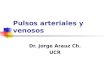 Pulsos arteriales y venosos Dr. Jorge Arauz Ch. UCR